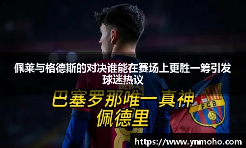 中欧体育网址